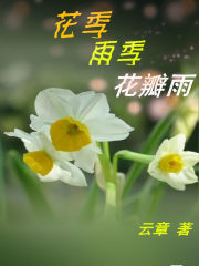 花季雨季花瓣雨
